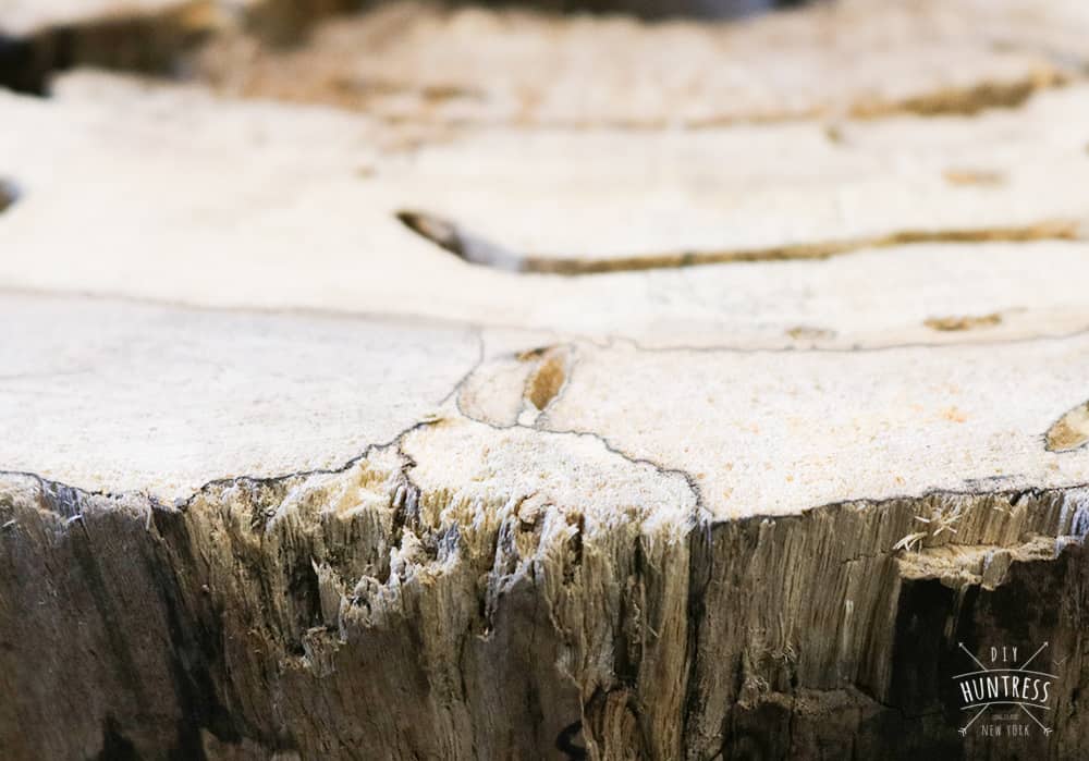 Live edge resin store table top